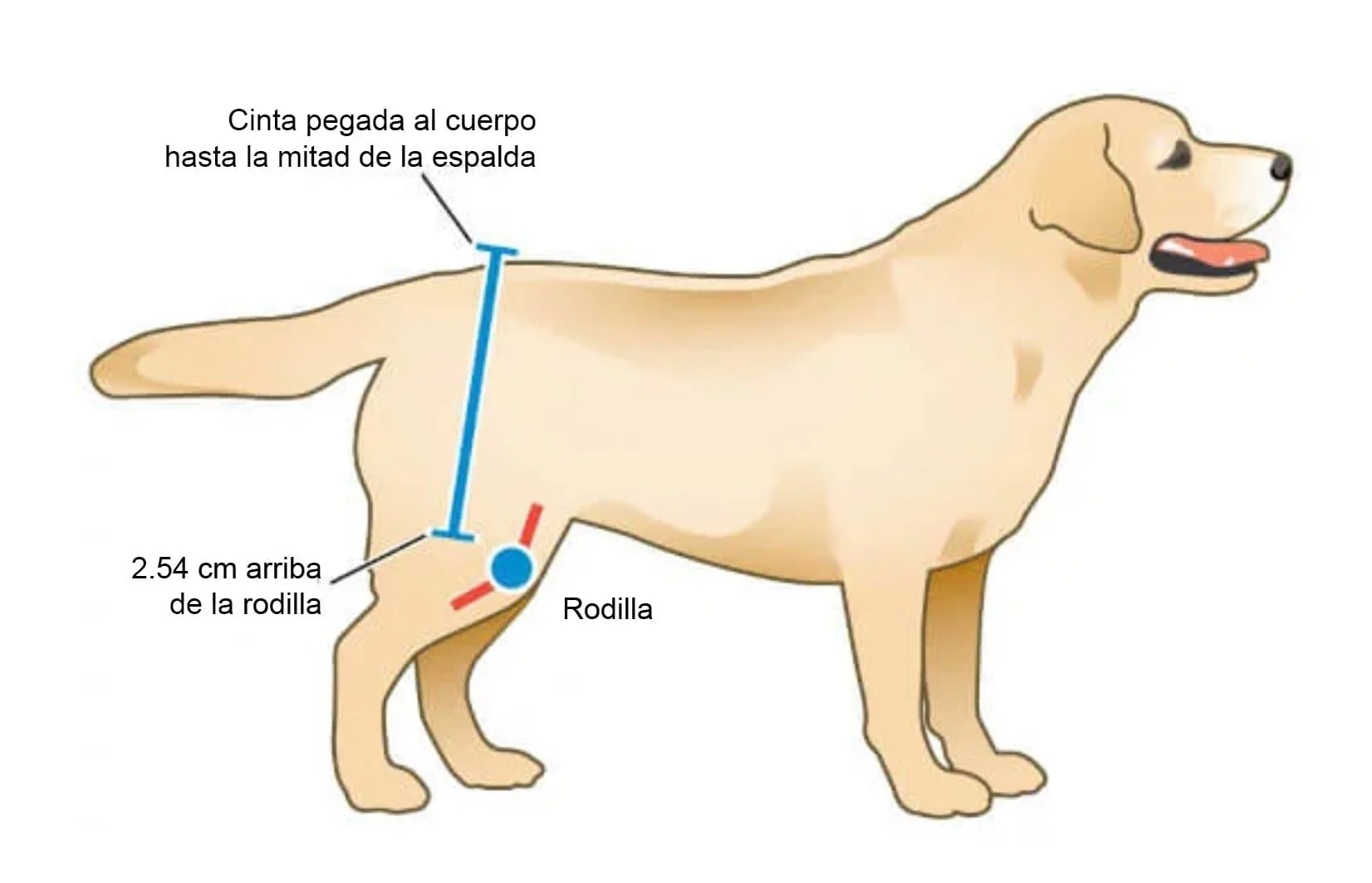 Imagen del producto 8