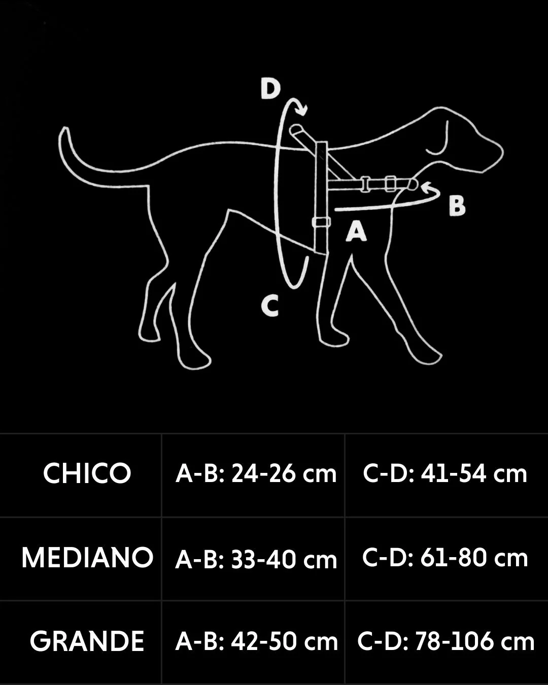 Imagen del producto 2
