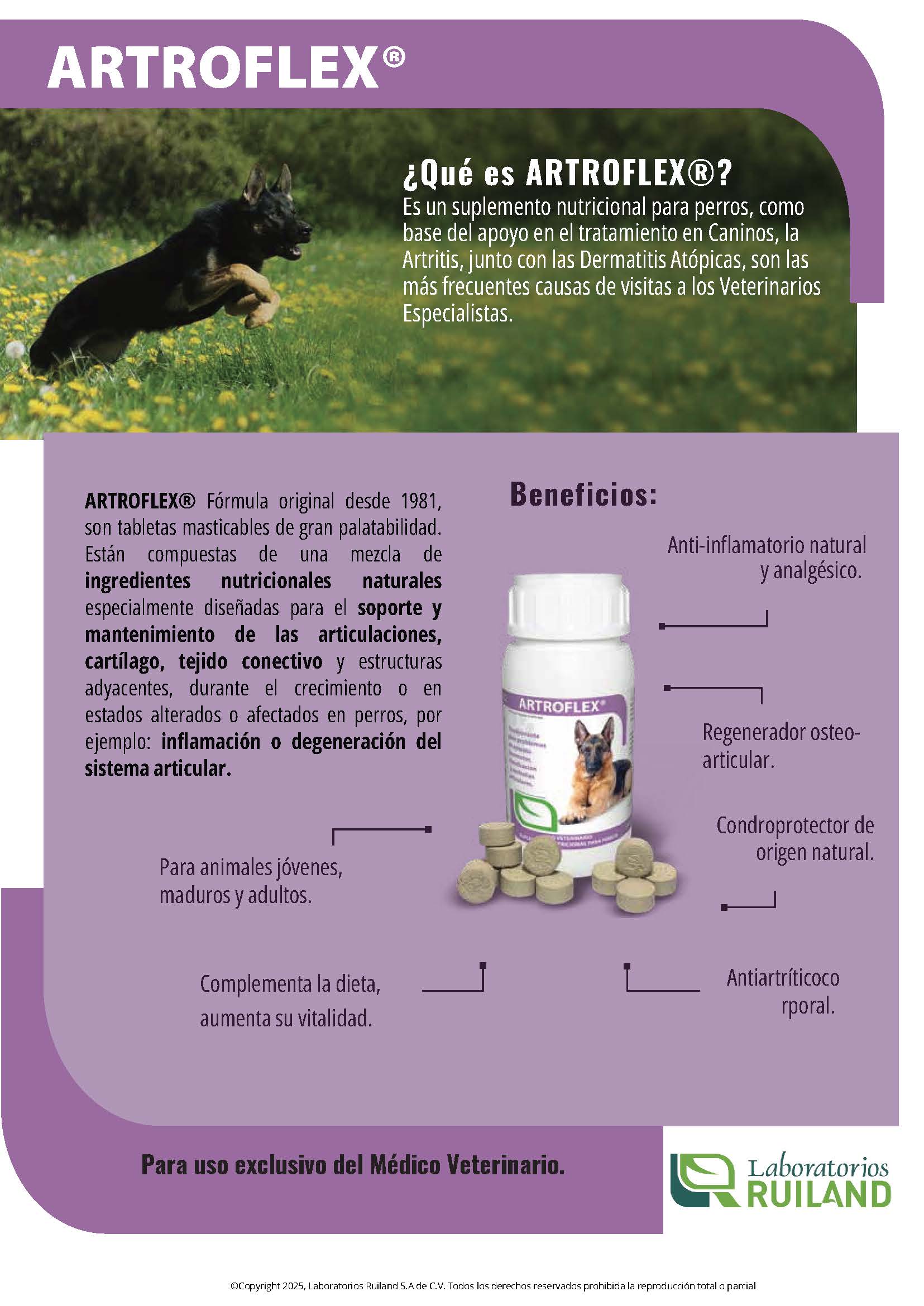 Imagen del producto 2