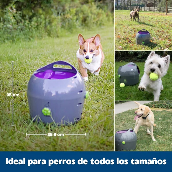 Imagen del producto 3