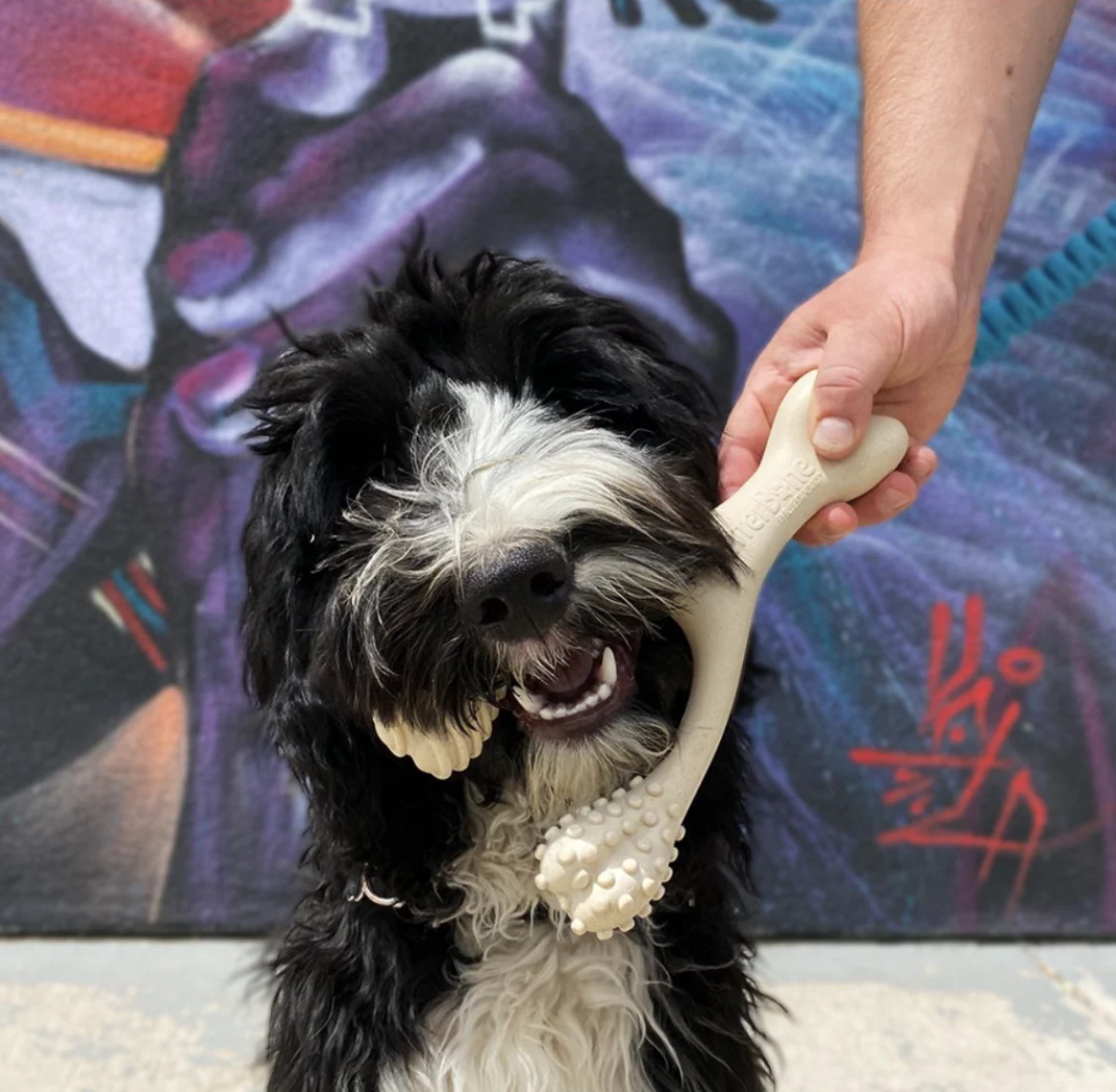 Imagen del producto 8