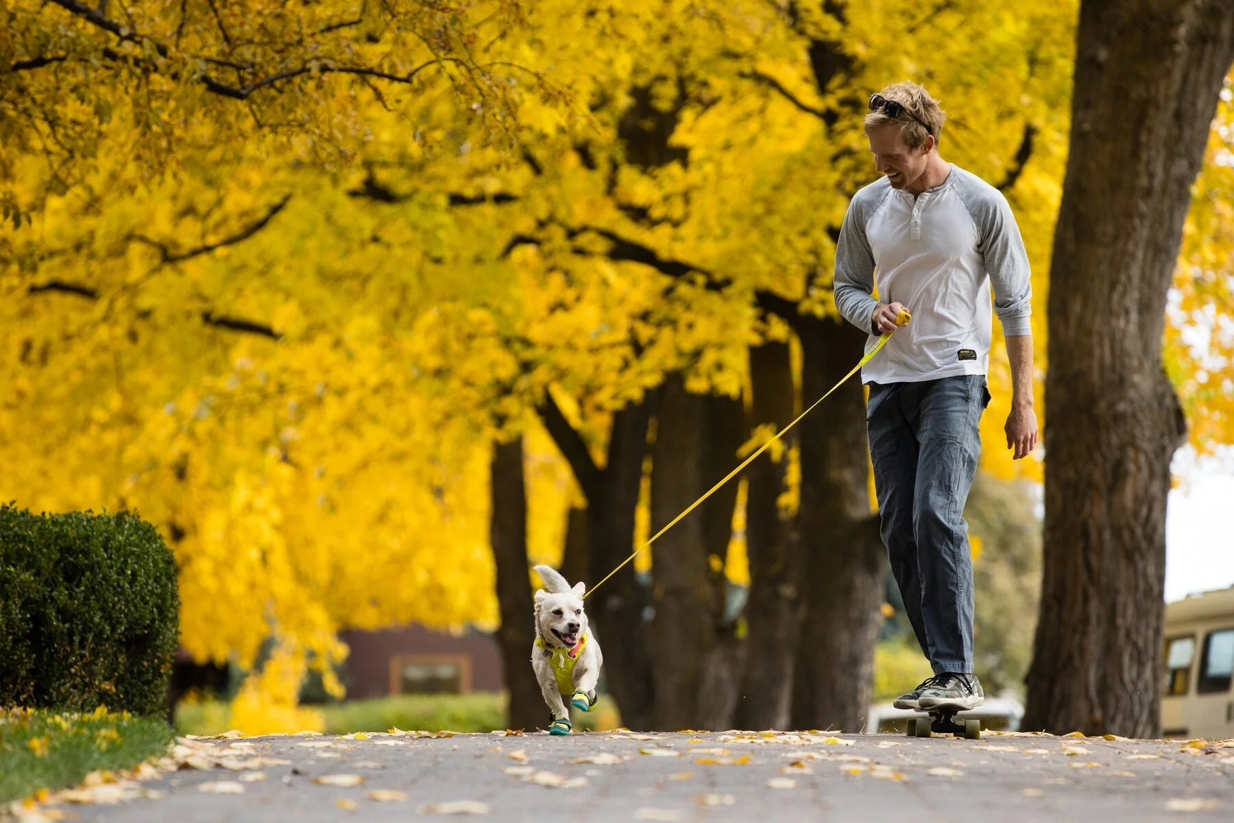 Imagen del producto 31