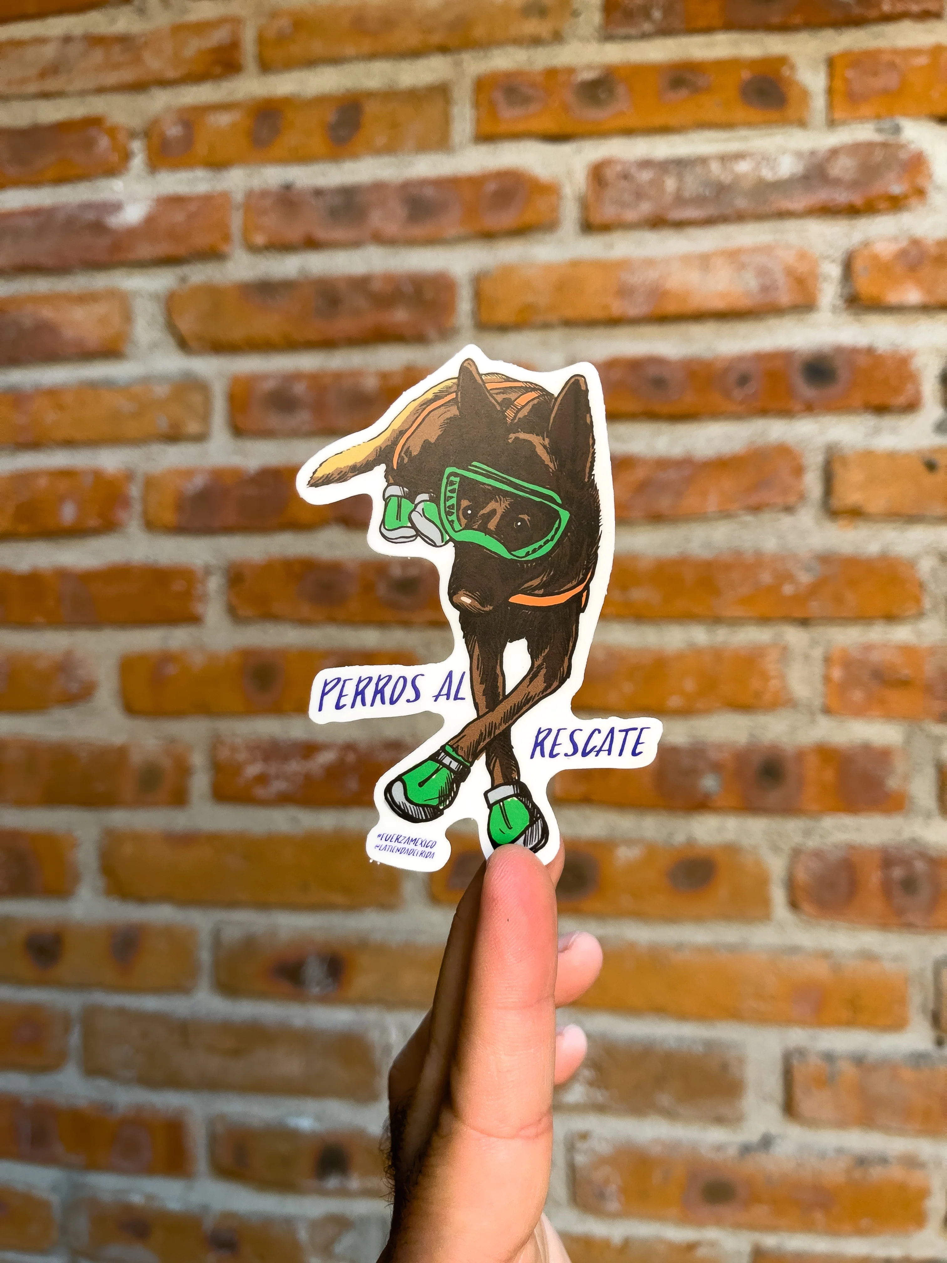 Imagen del producto 8