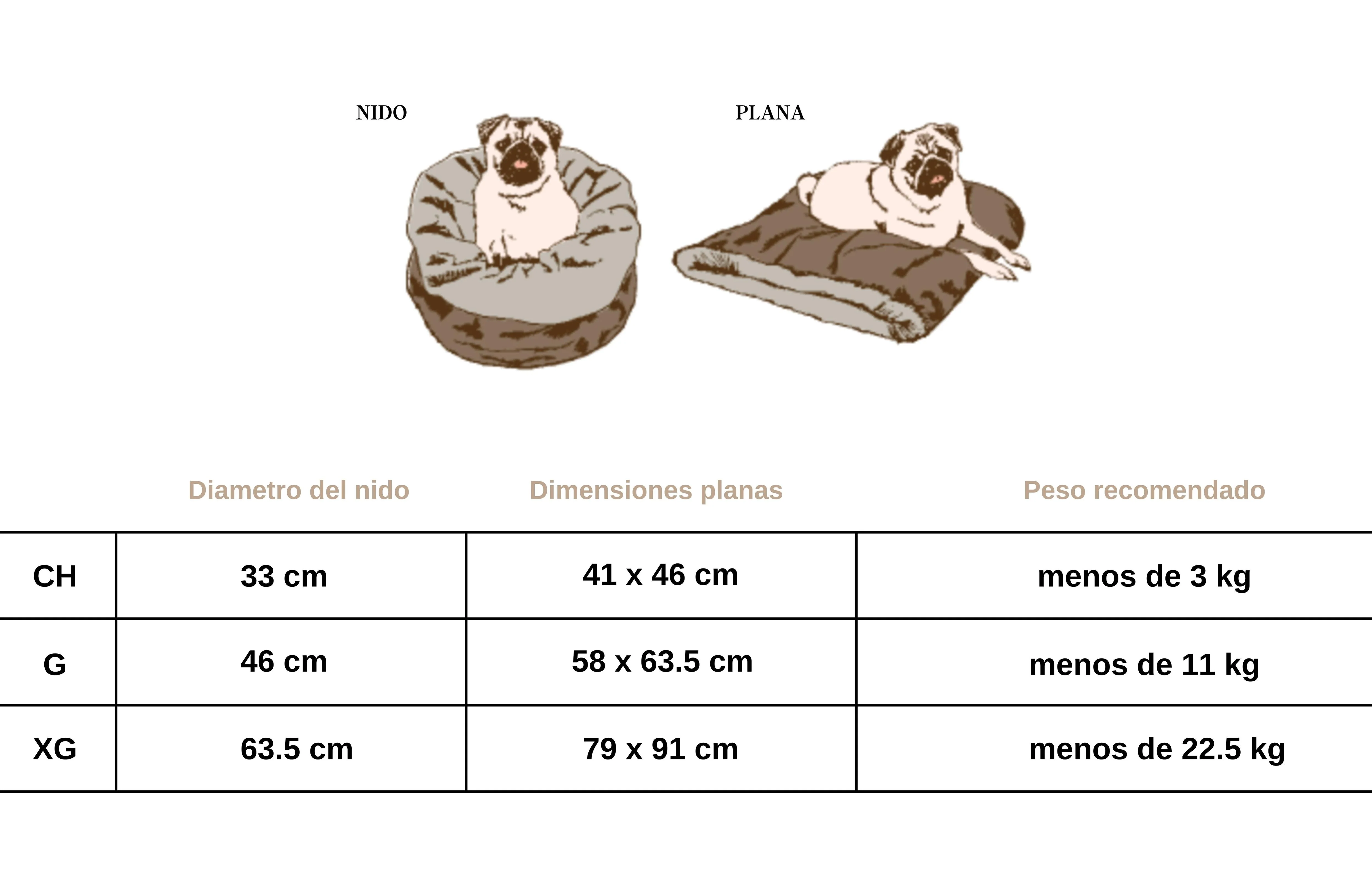 Imagen del producto 17
