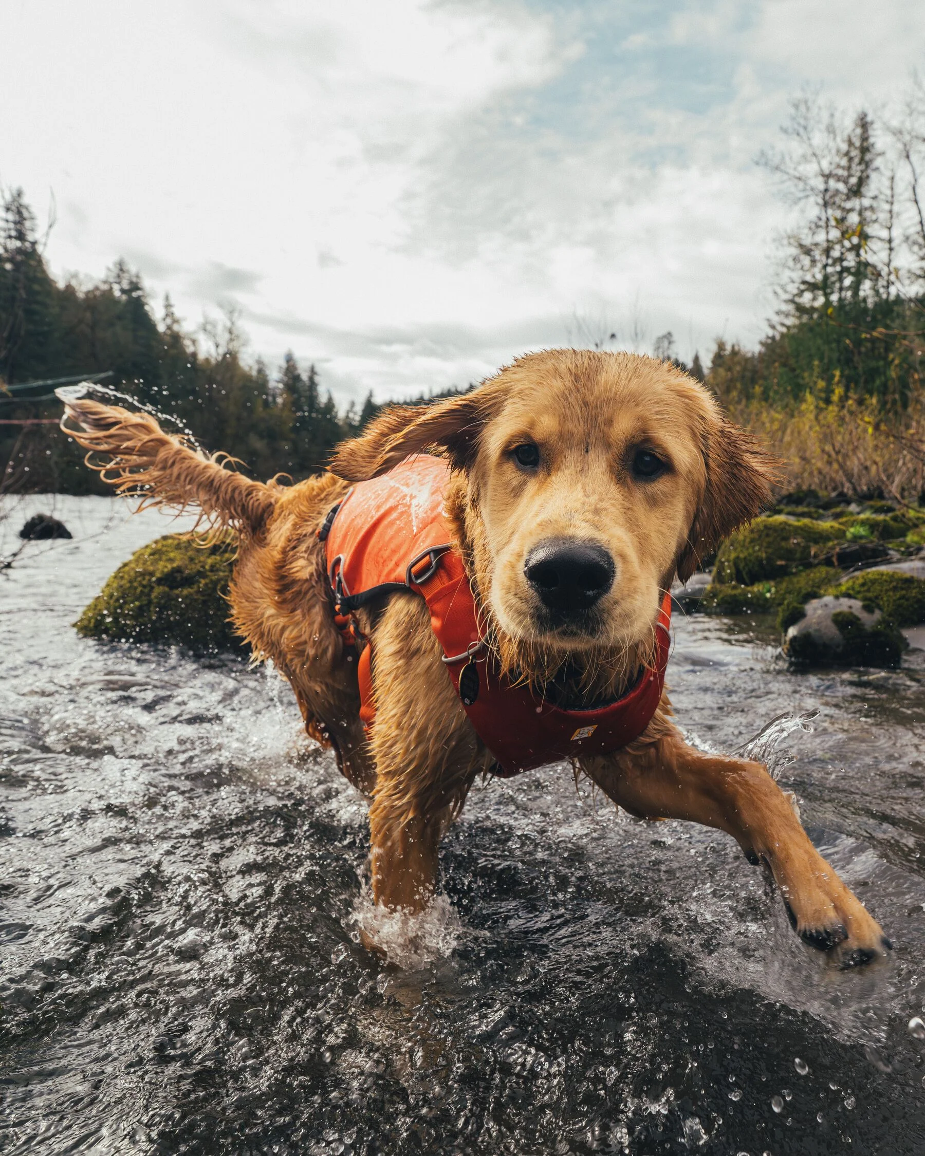 Imagen del producto 12