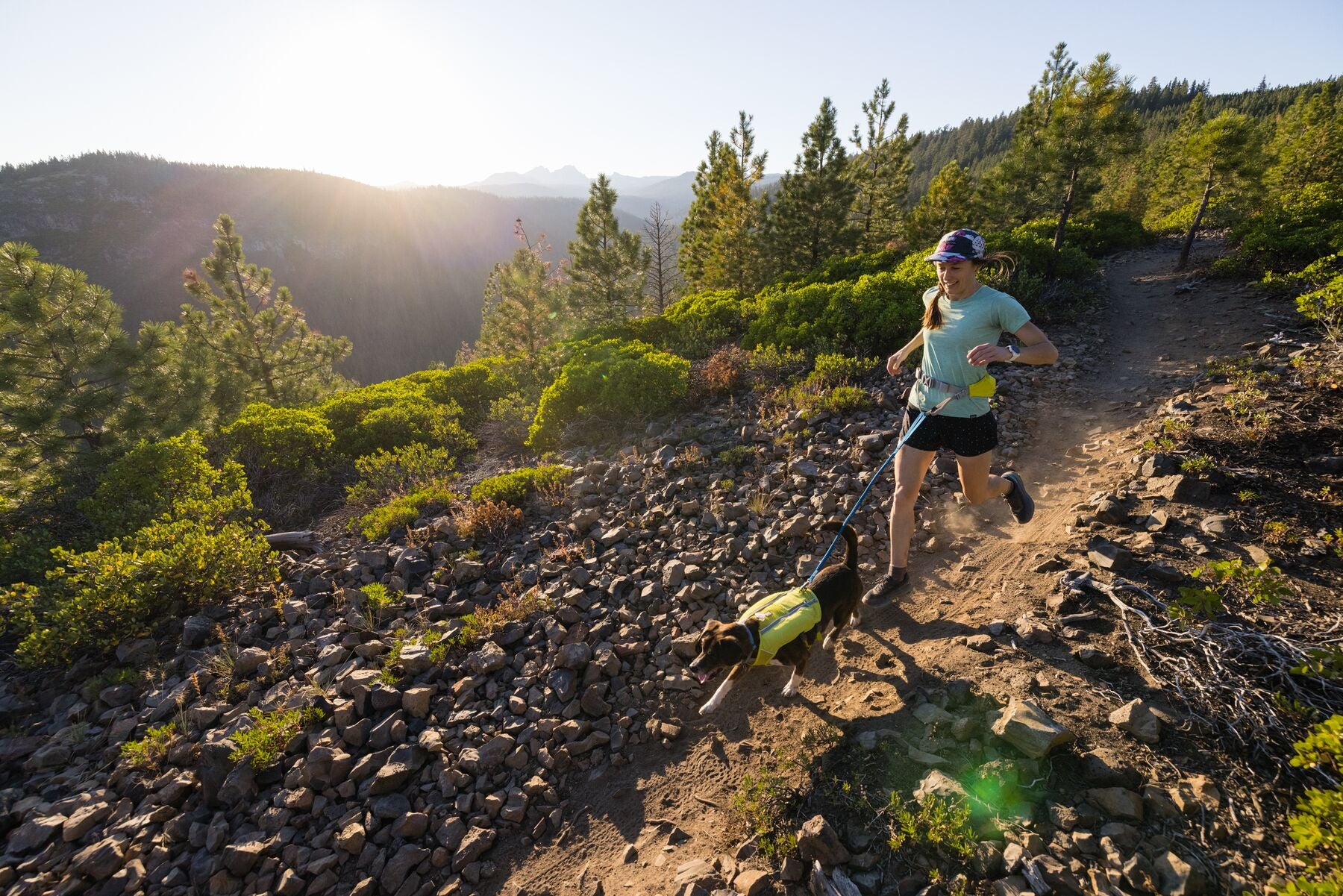 Imagen del producto 50