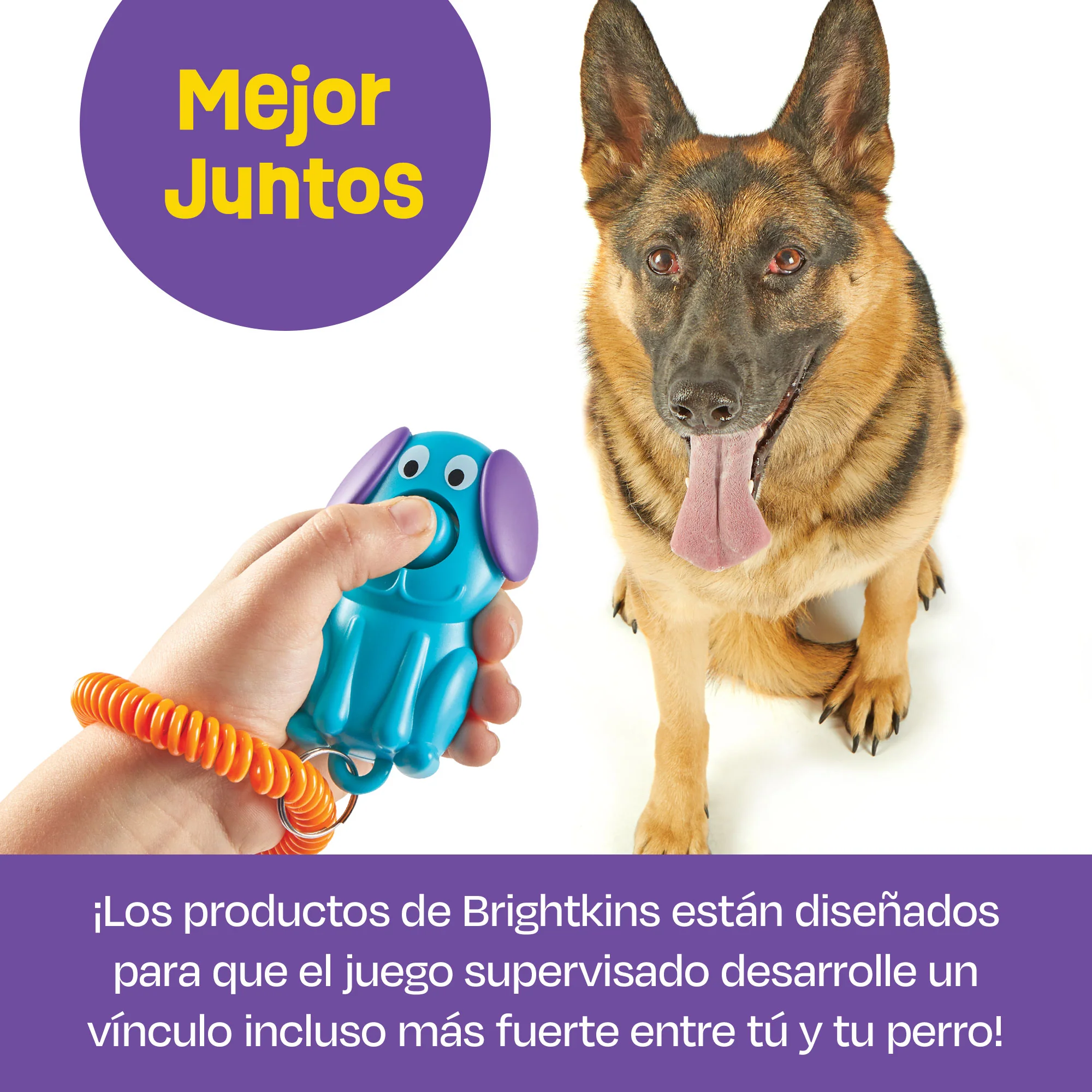Imagen del producto 10