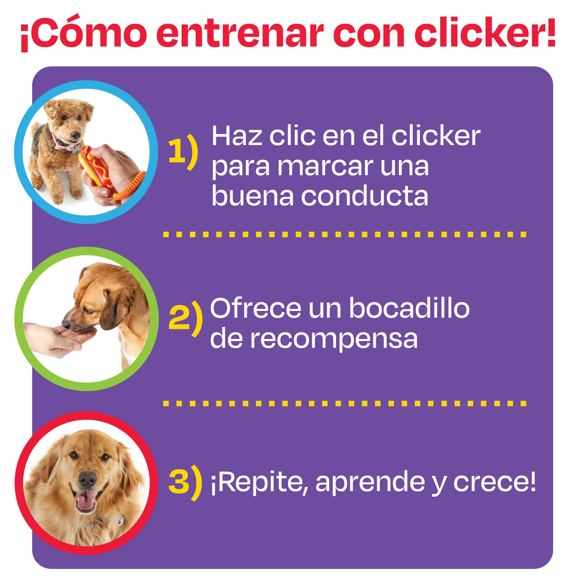 Imagen del producto 11