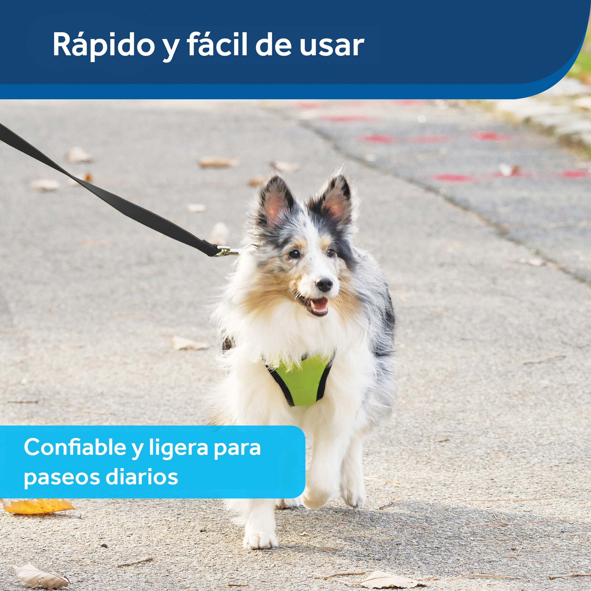 Imagen del producto 10
