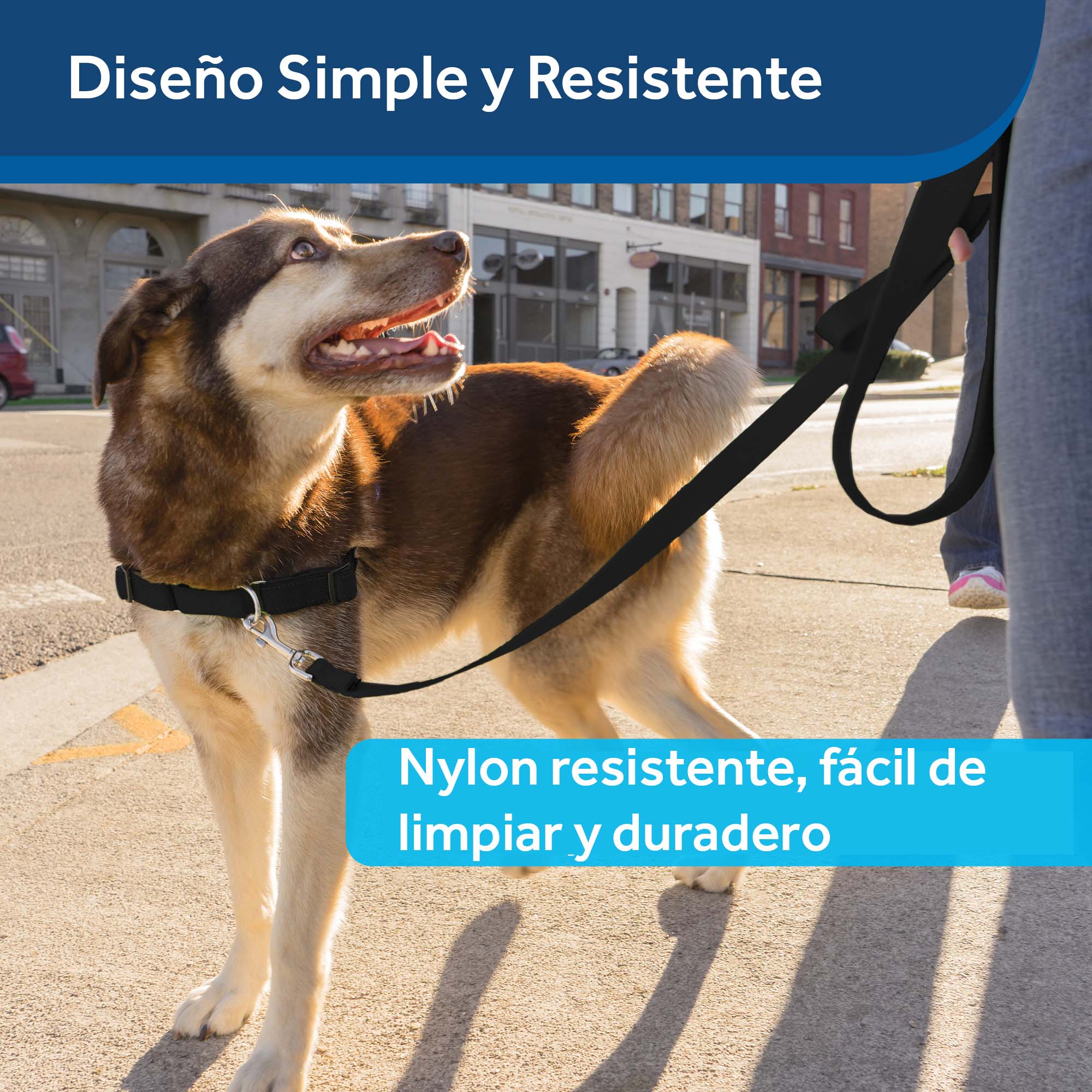 Imagen del producto 11