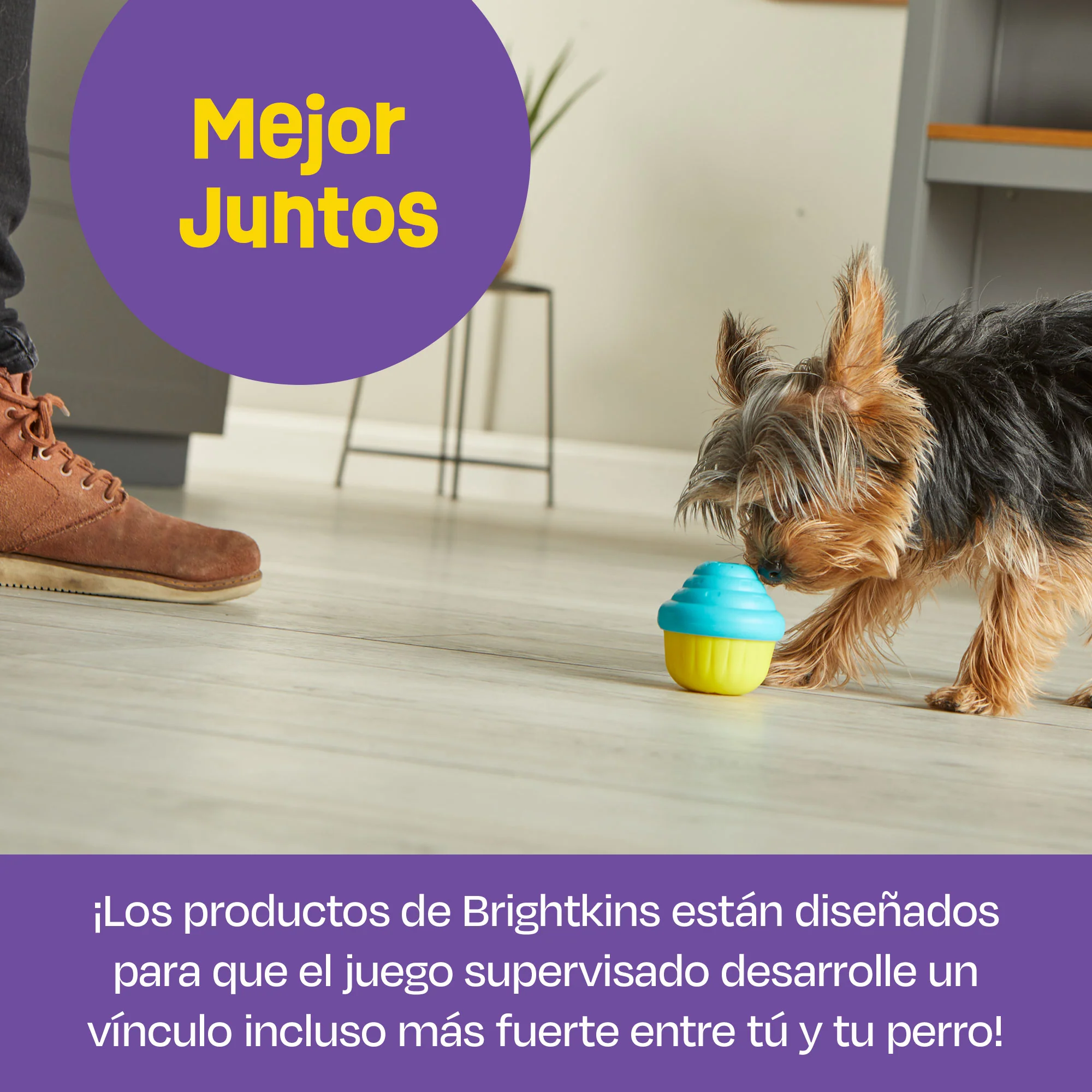 Imagen del producto 11