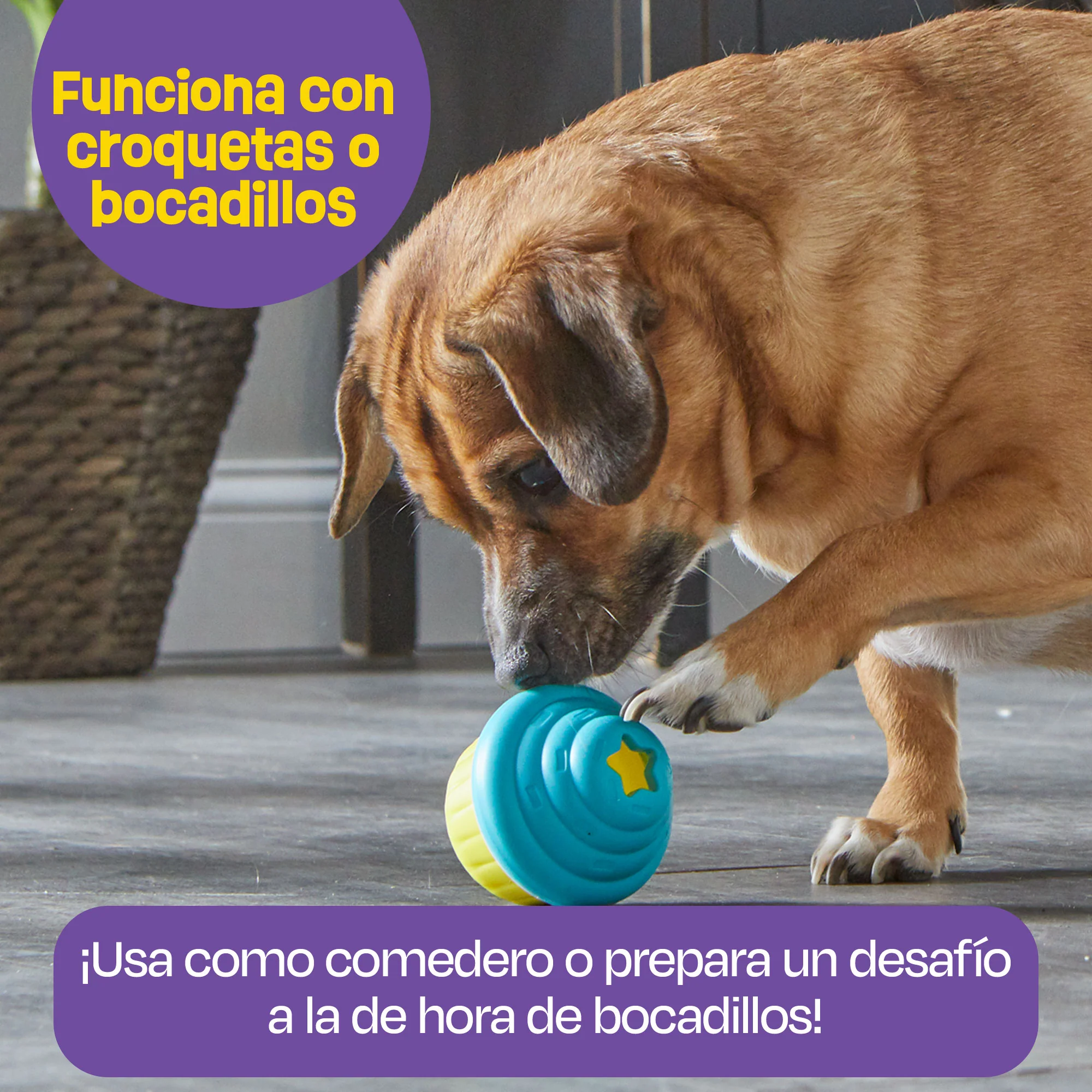 Imagen del producto 12