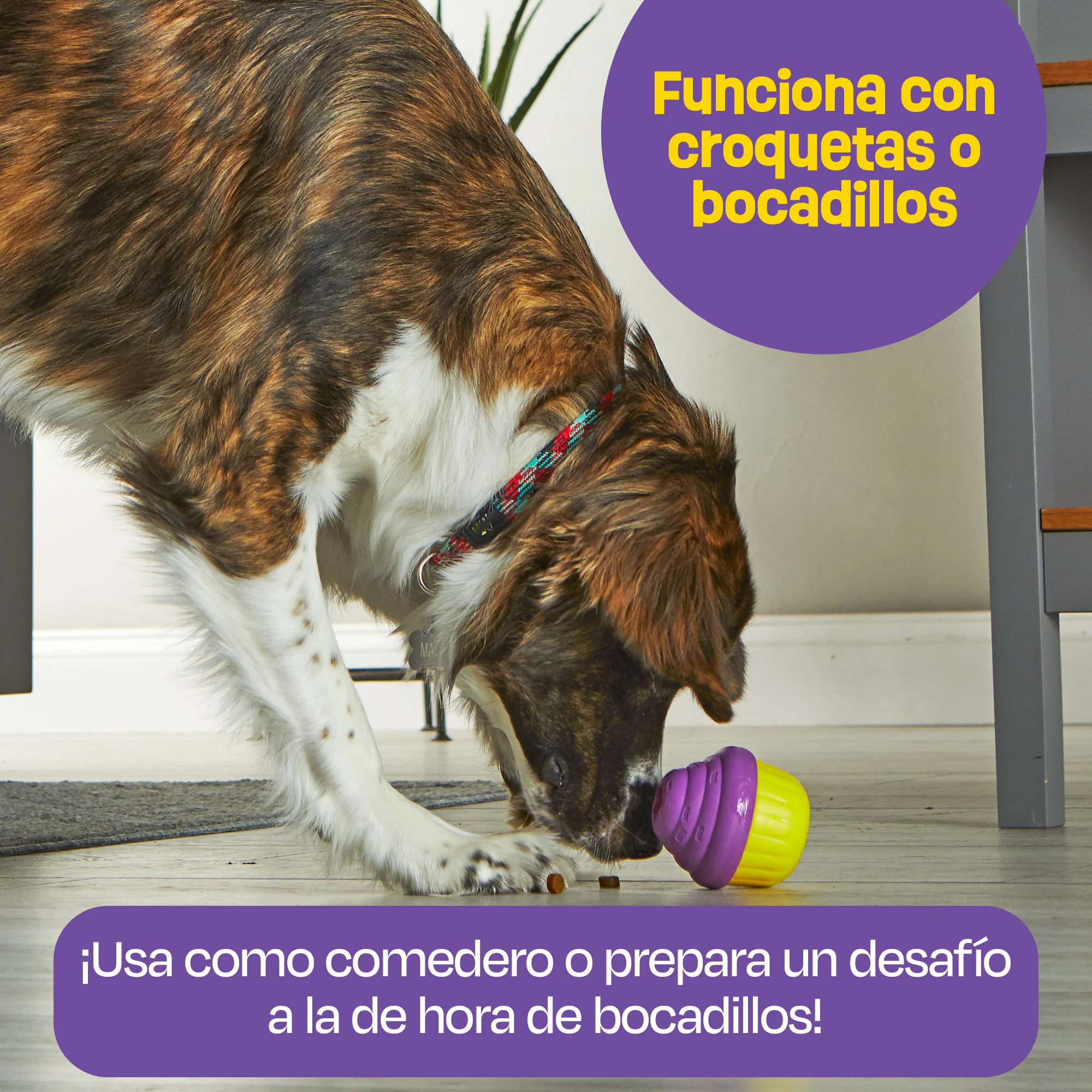 Imagen del producto 13