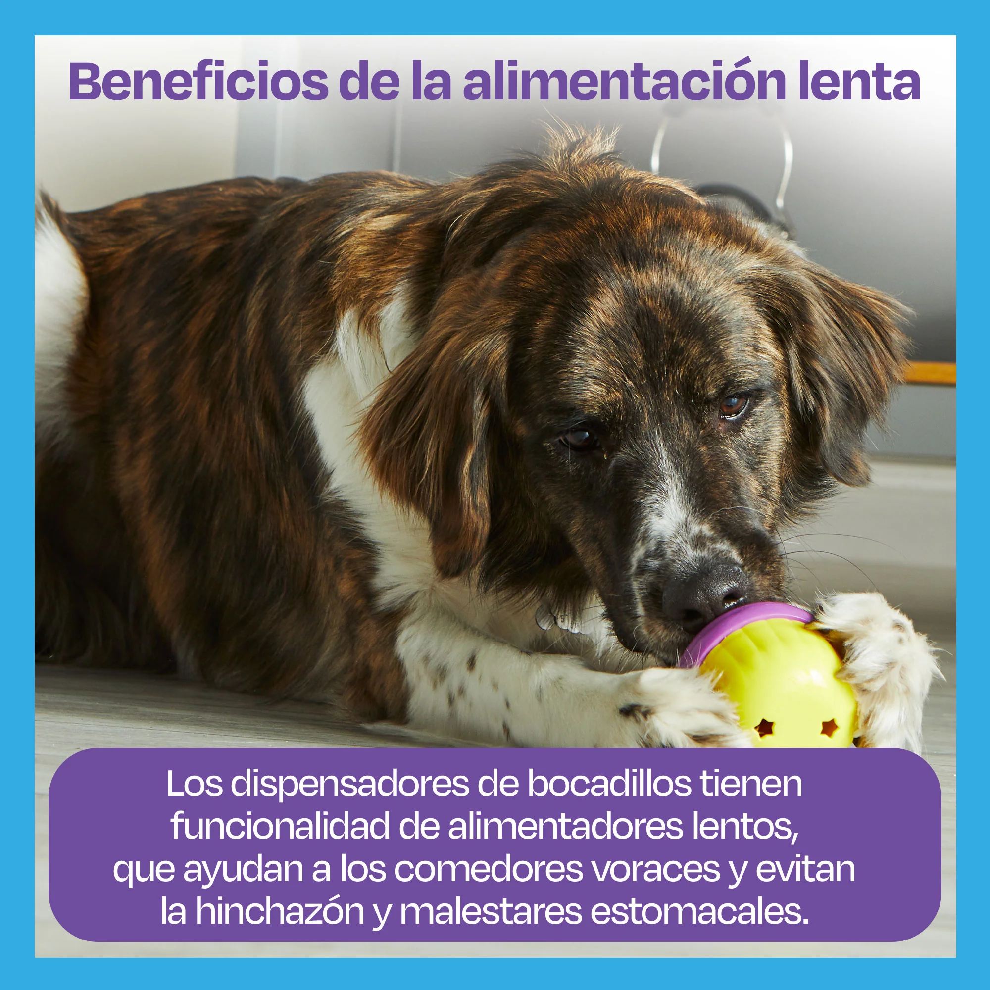 Imagen del producto 14