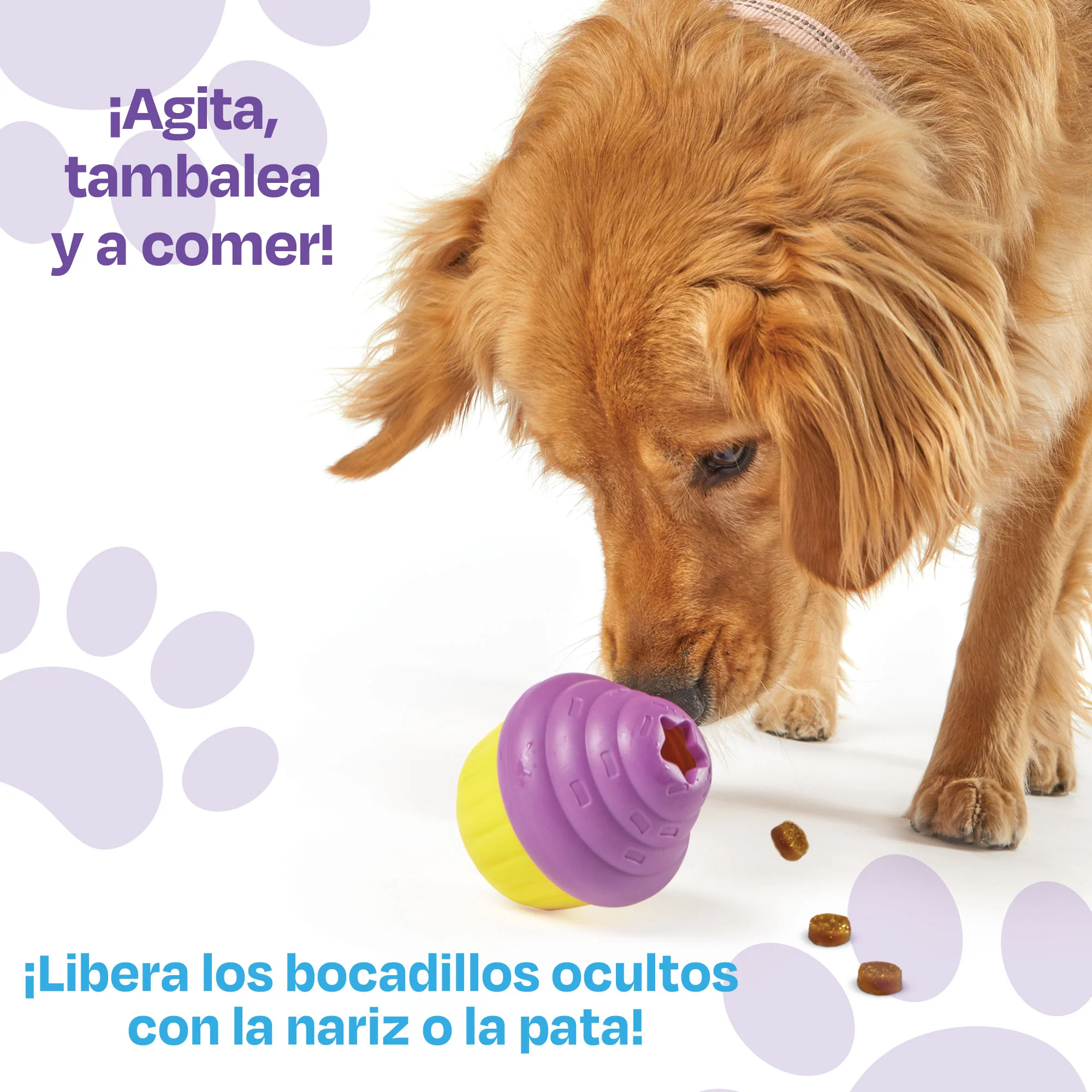 Imagen del producto 15
