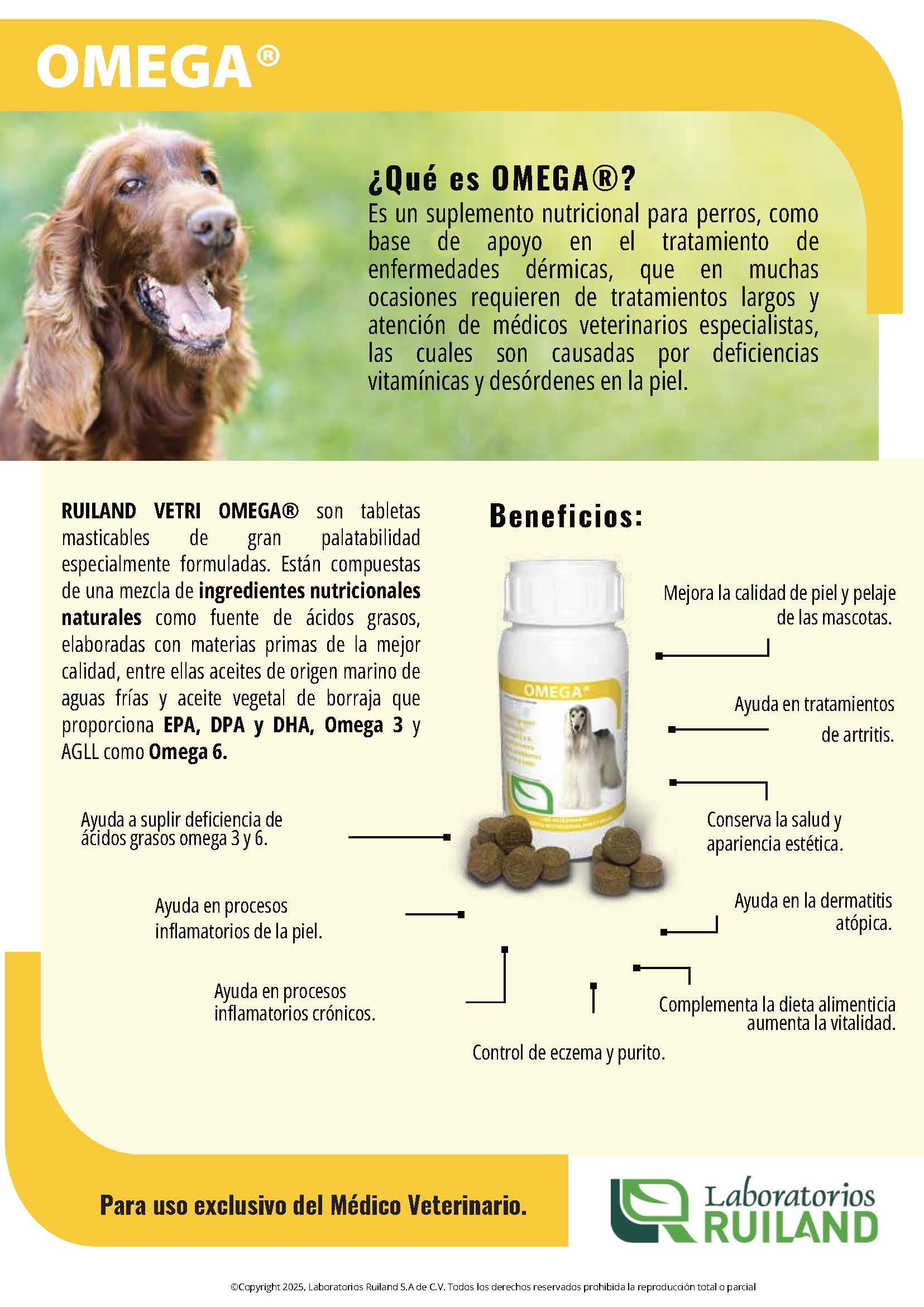 Imagen del producto 2