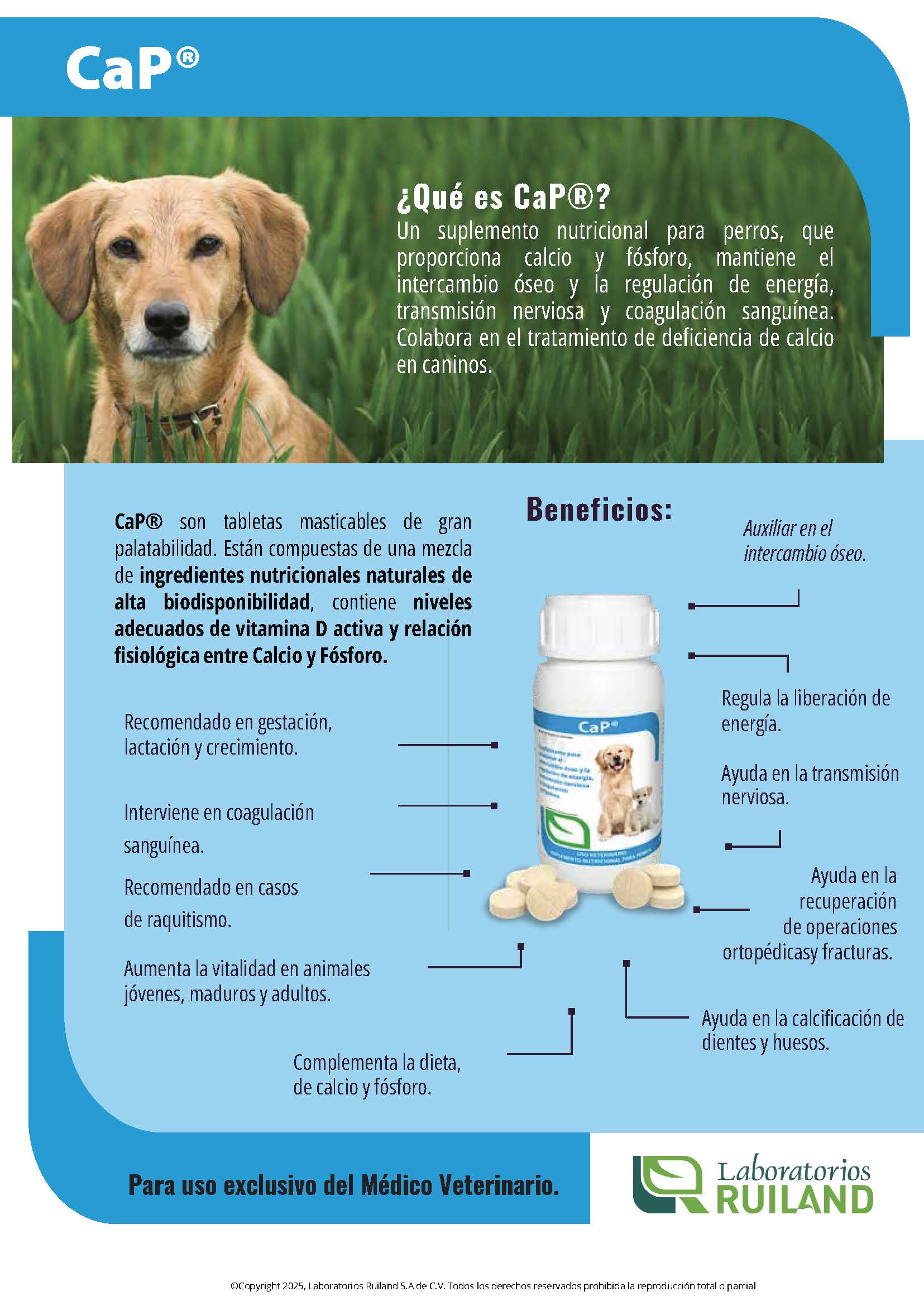 Imagen del producto 2