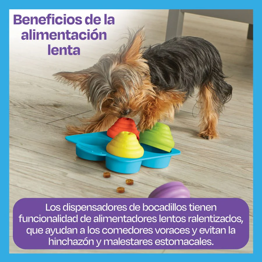 Imagen del producto 10