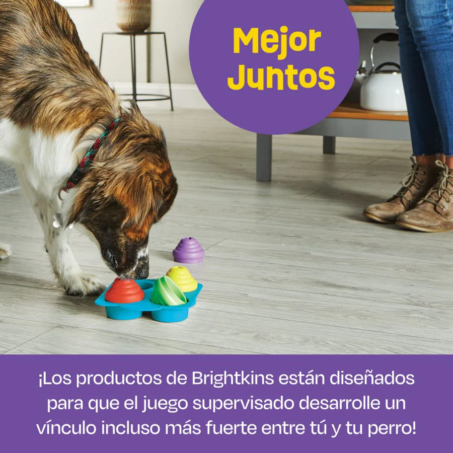 Imagen del producto 5