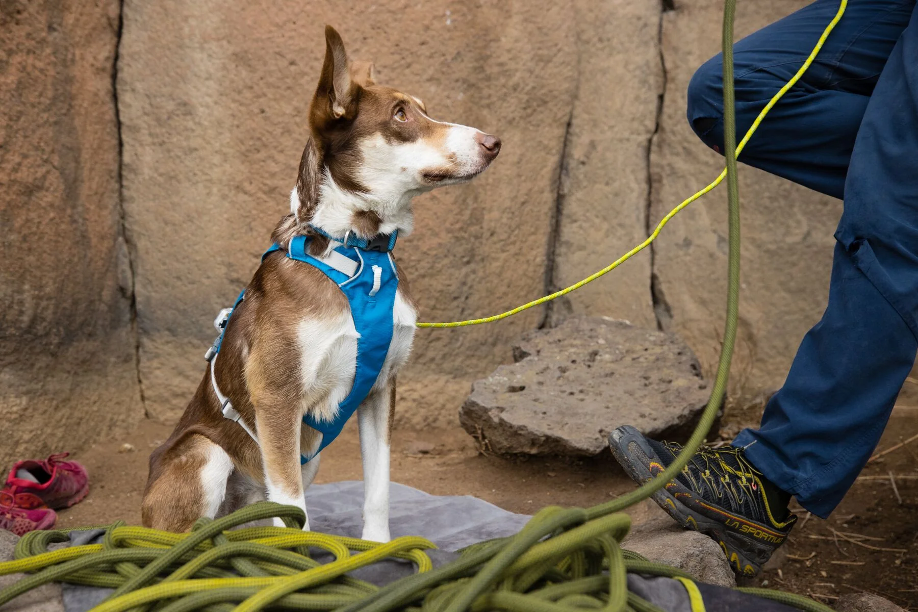 Imagen del producto 44