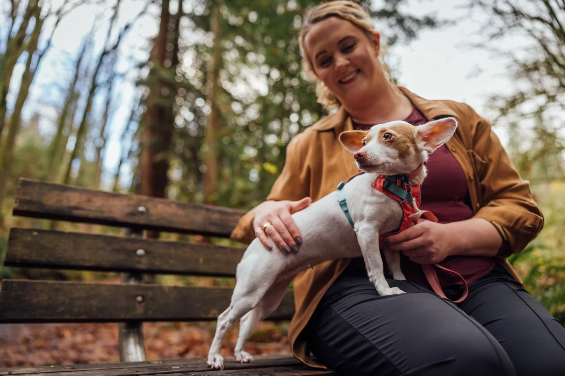 Imagen del producto 115