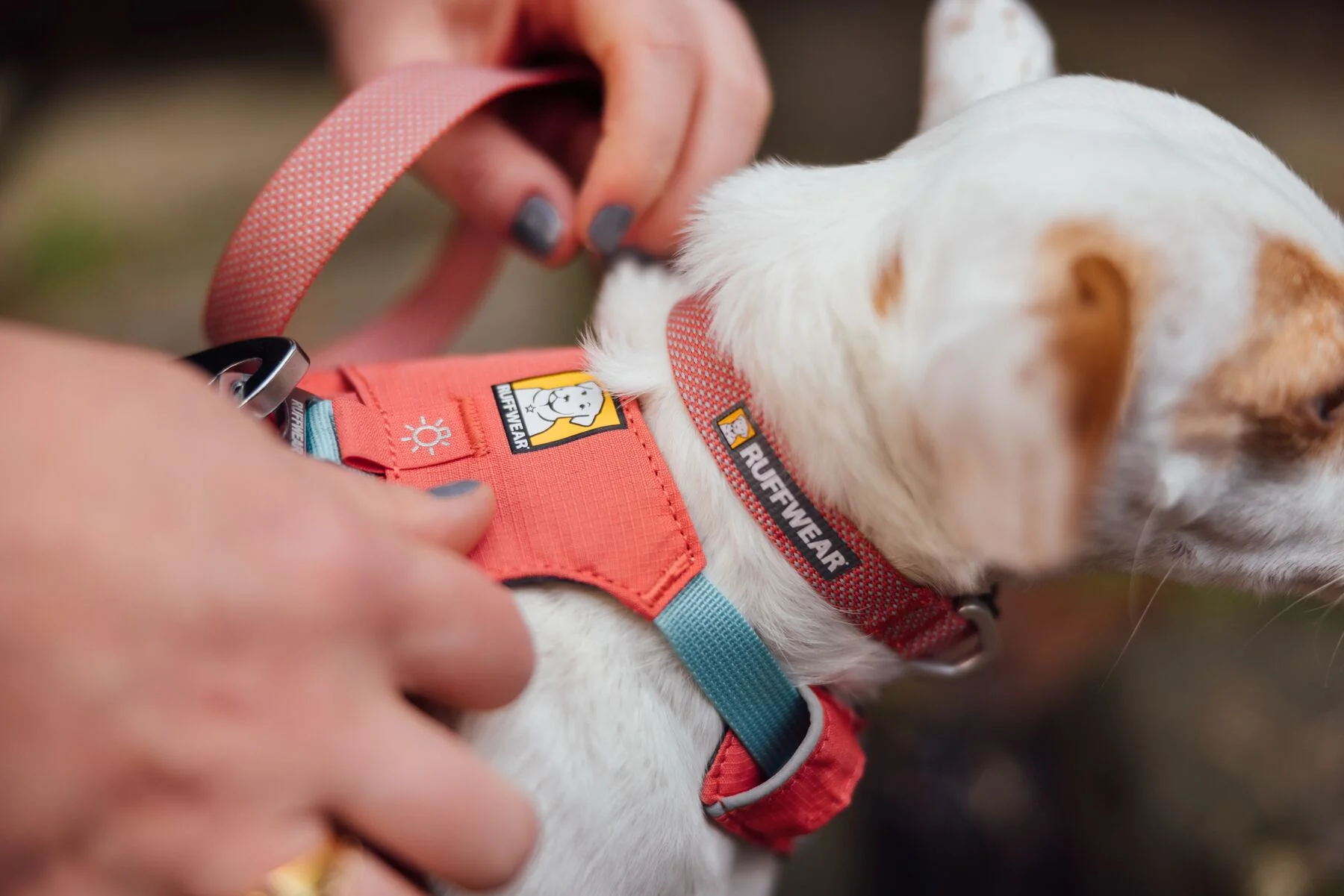 Imagen del producto 82