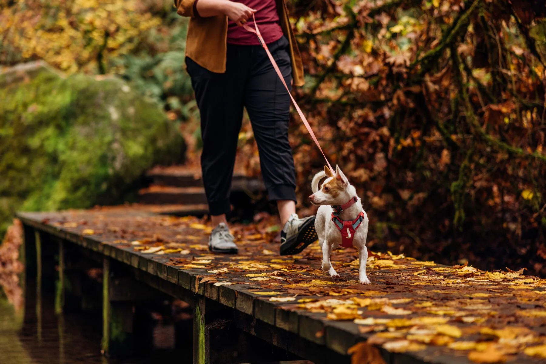 Imagen del producto 47
