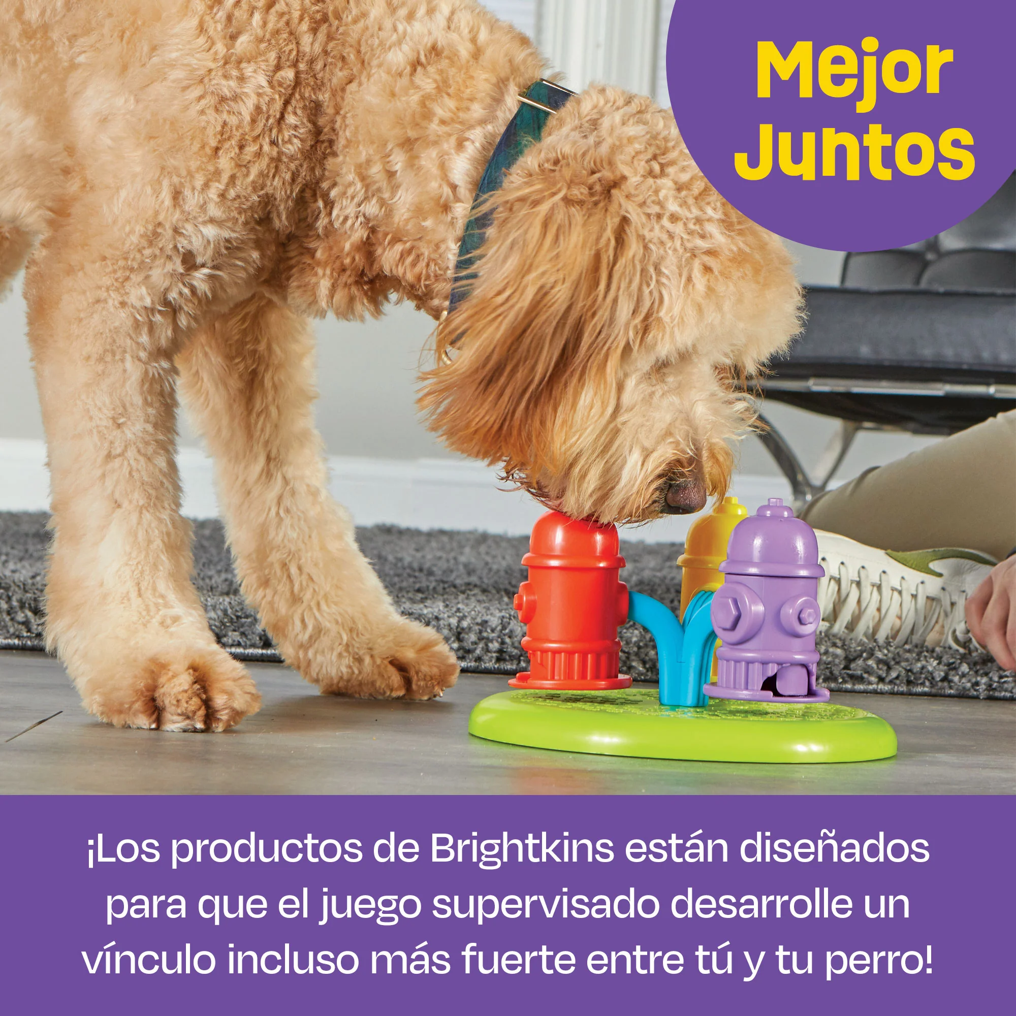 Imagen del producto 4