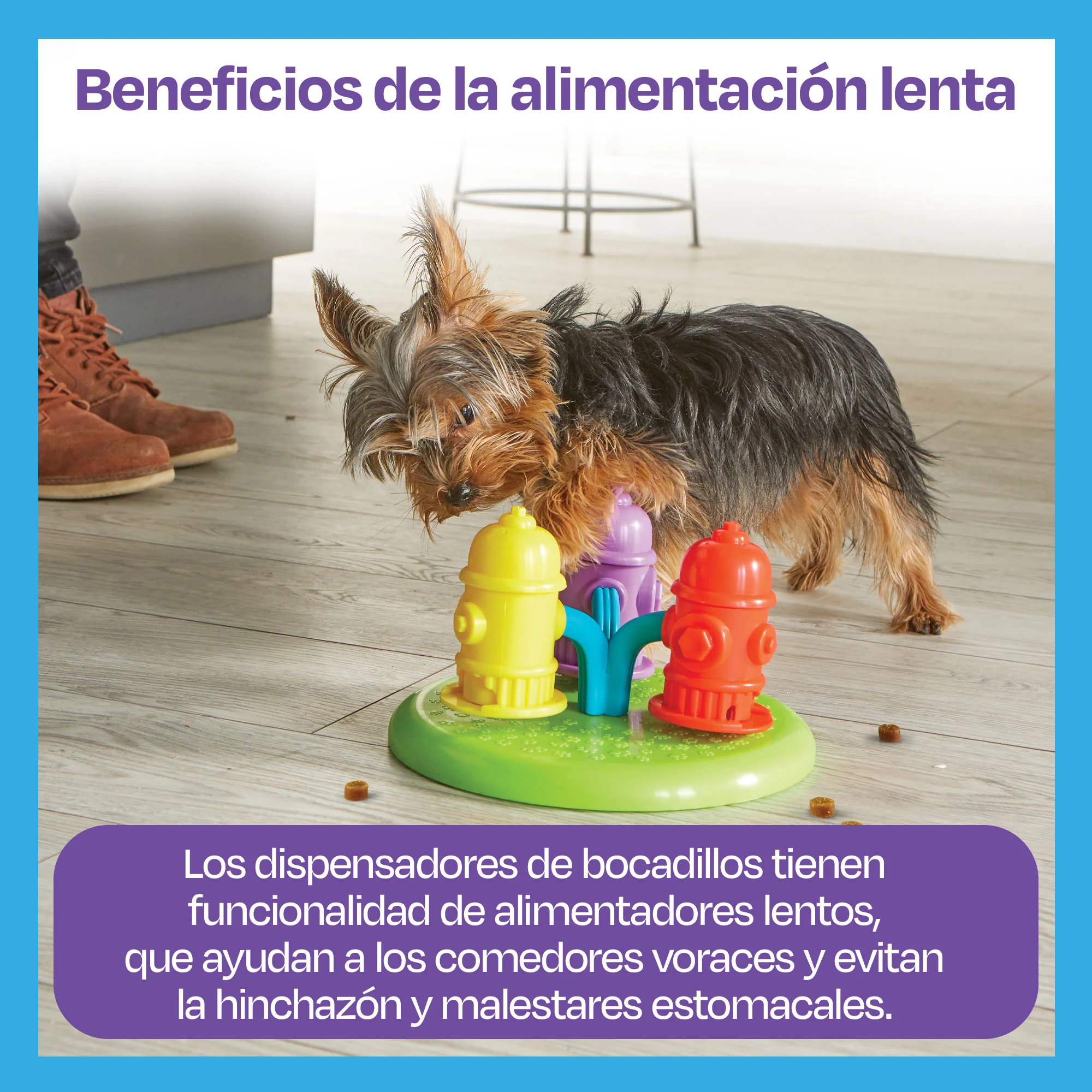 Imagen del producto 5