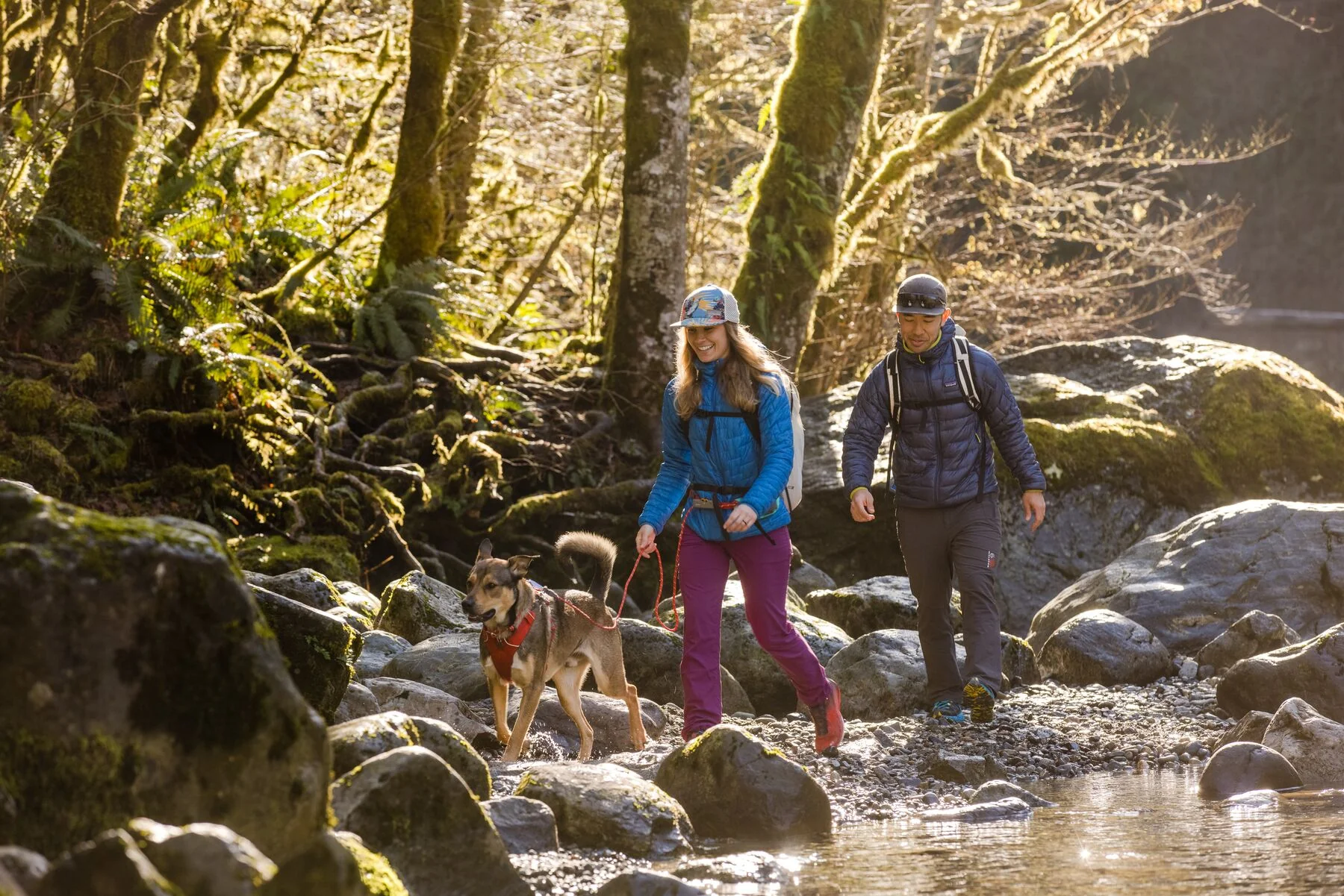 Imagen del producto 35