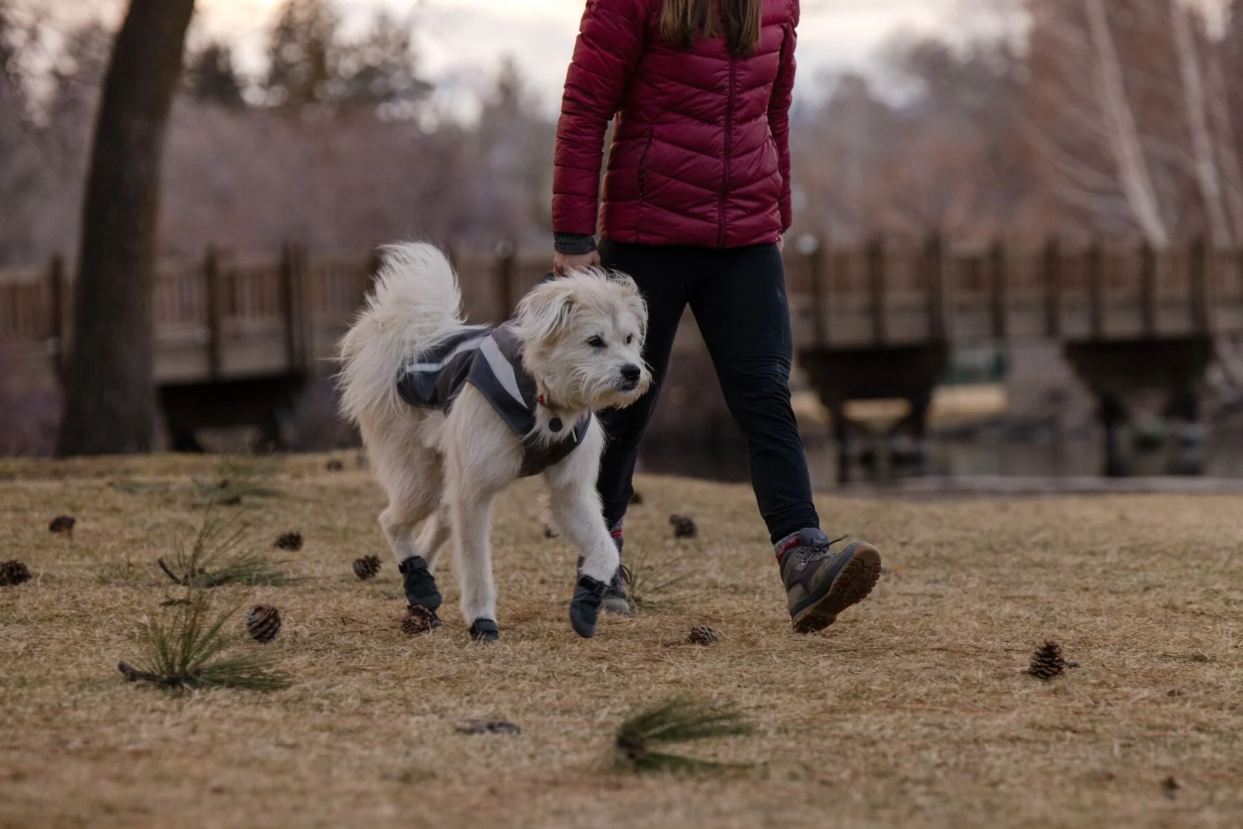 Imagen del producto 63