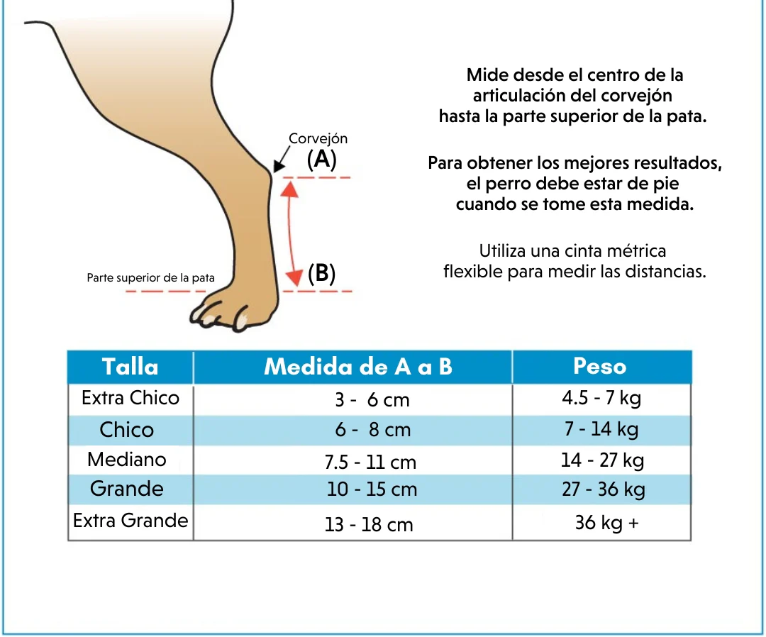 Imagen del producto 7