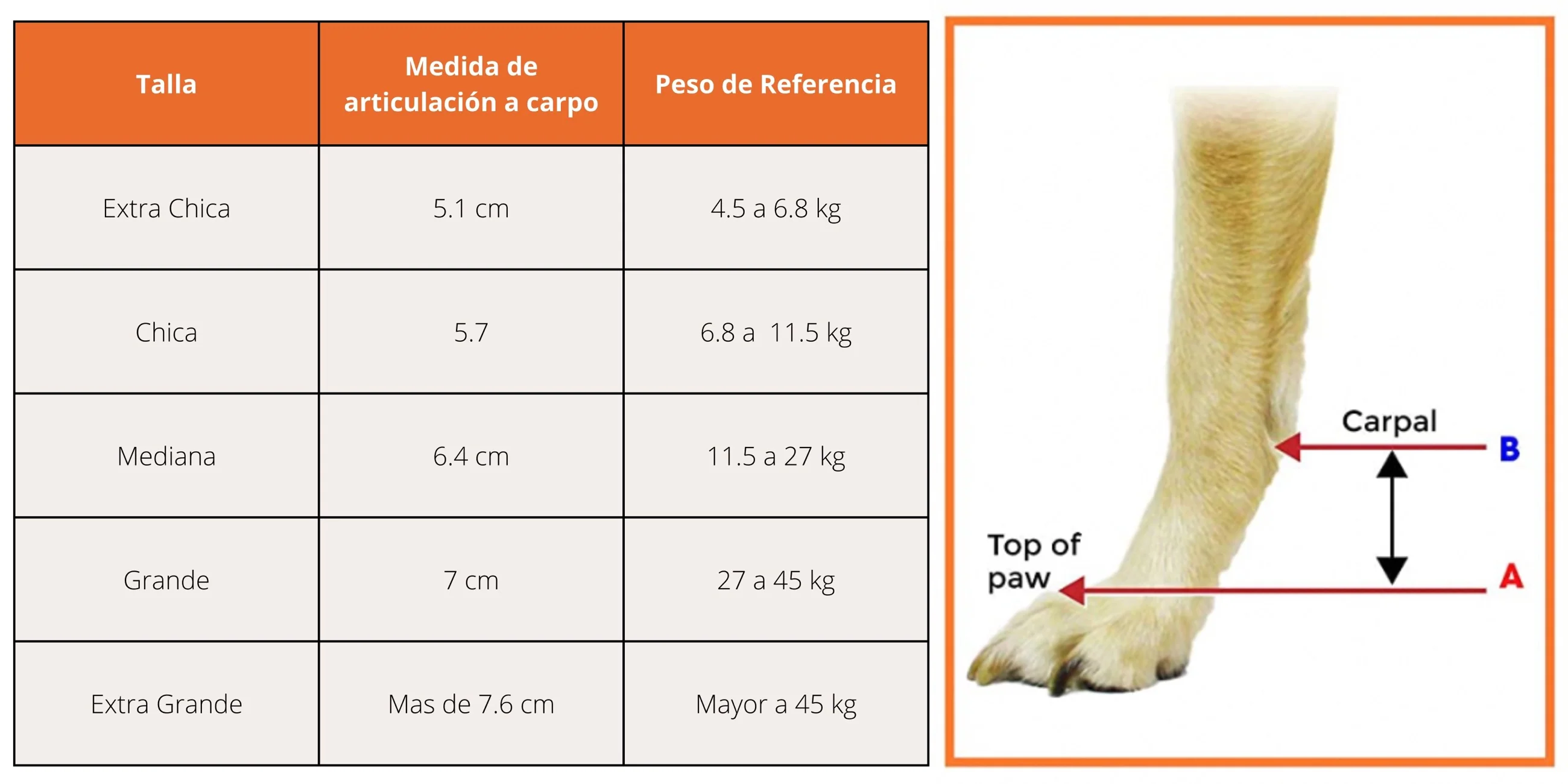 Imagen del producto 5