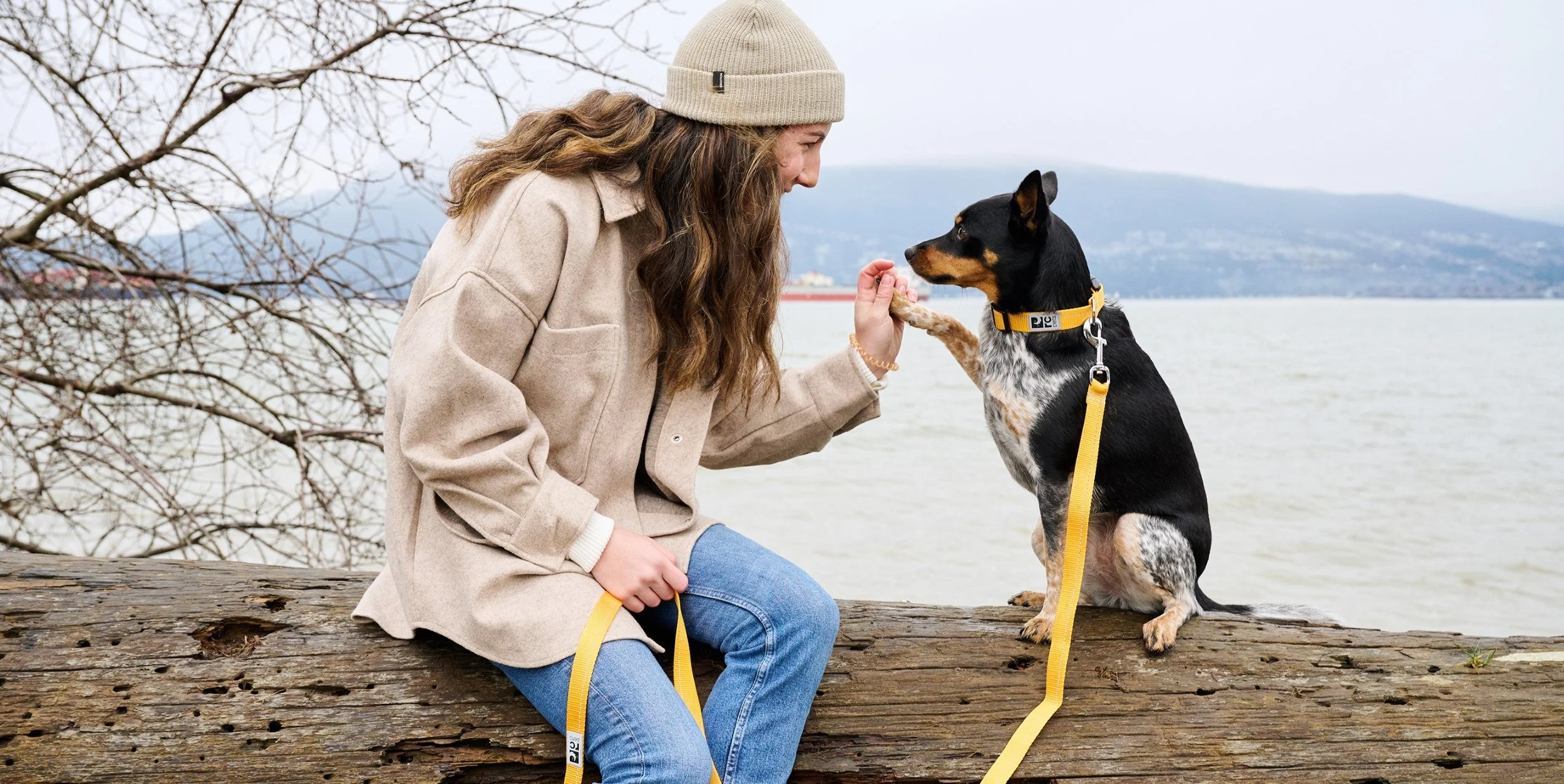 Imagen del producto 2