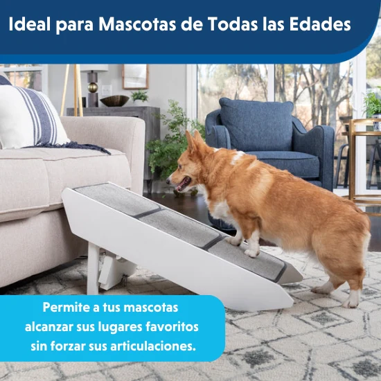 Imagen del producto 10