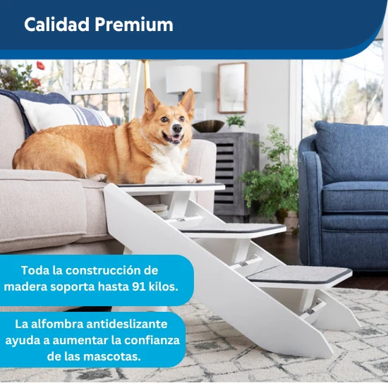Imagen del producto 12