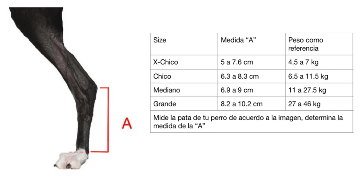 Imagen del producto 5