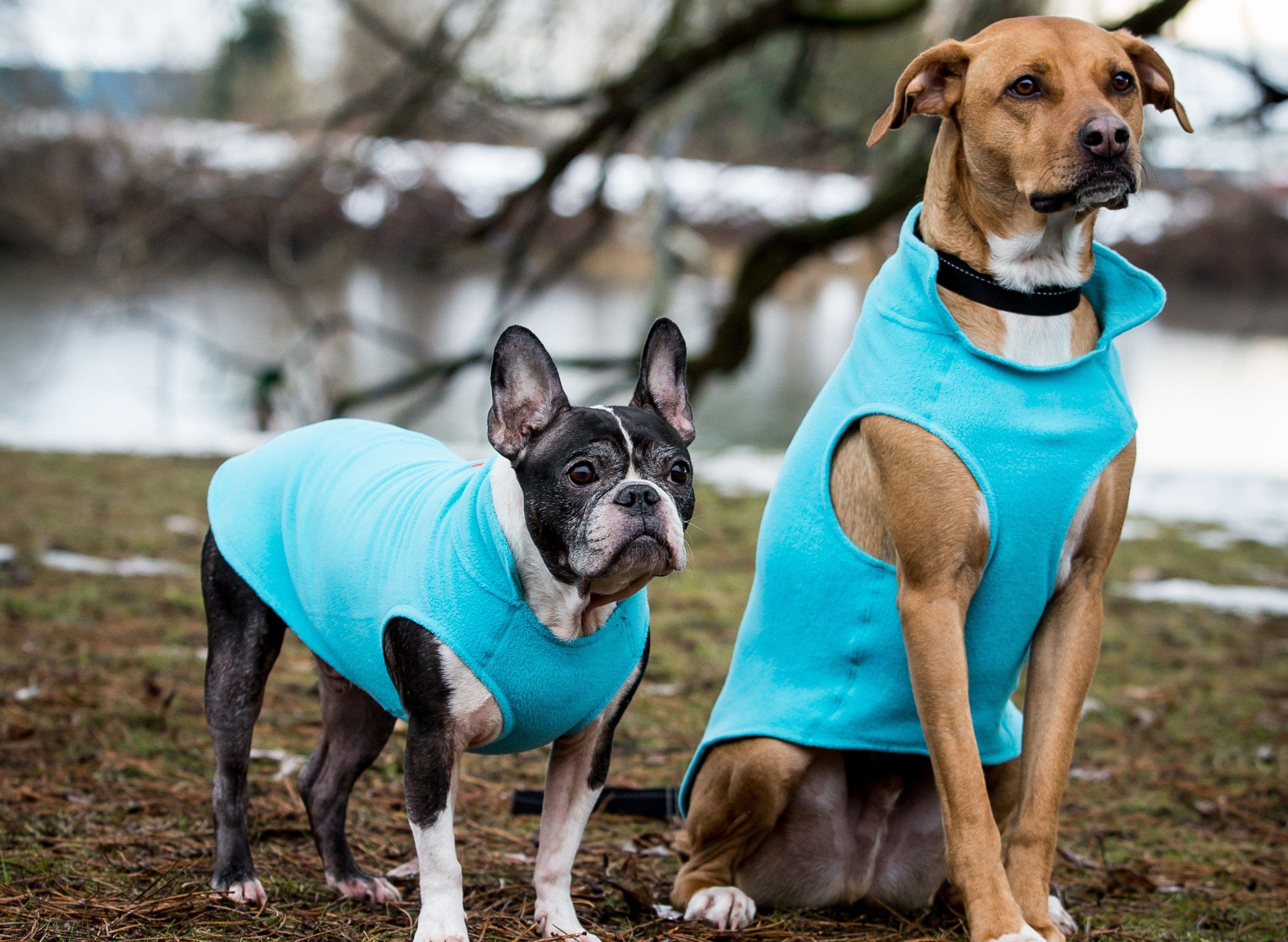 Imagen del producto 4