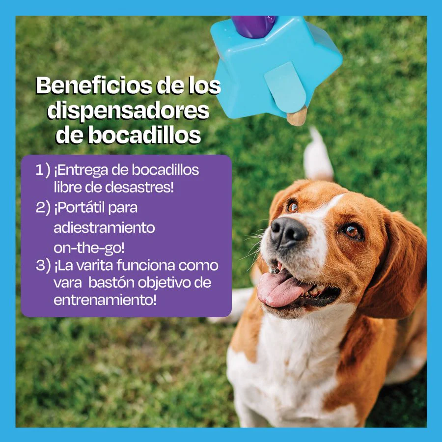 Imagen del producto 12
