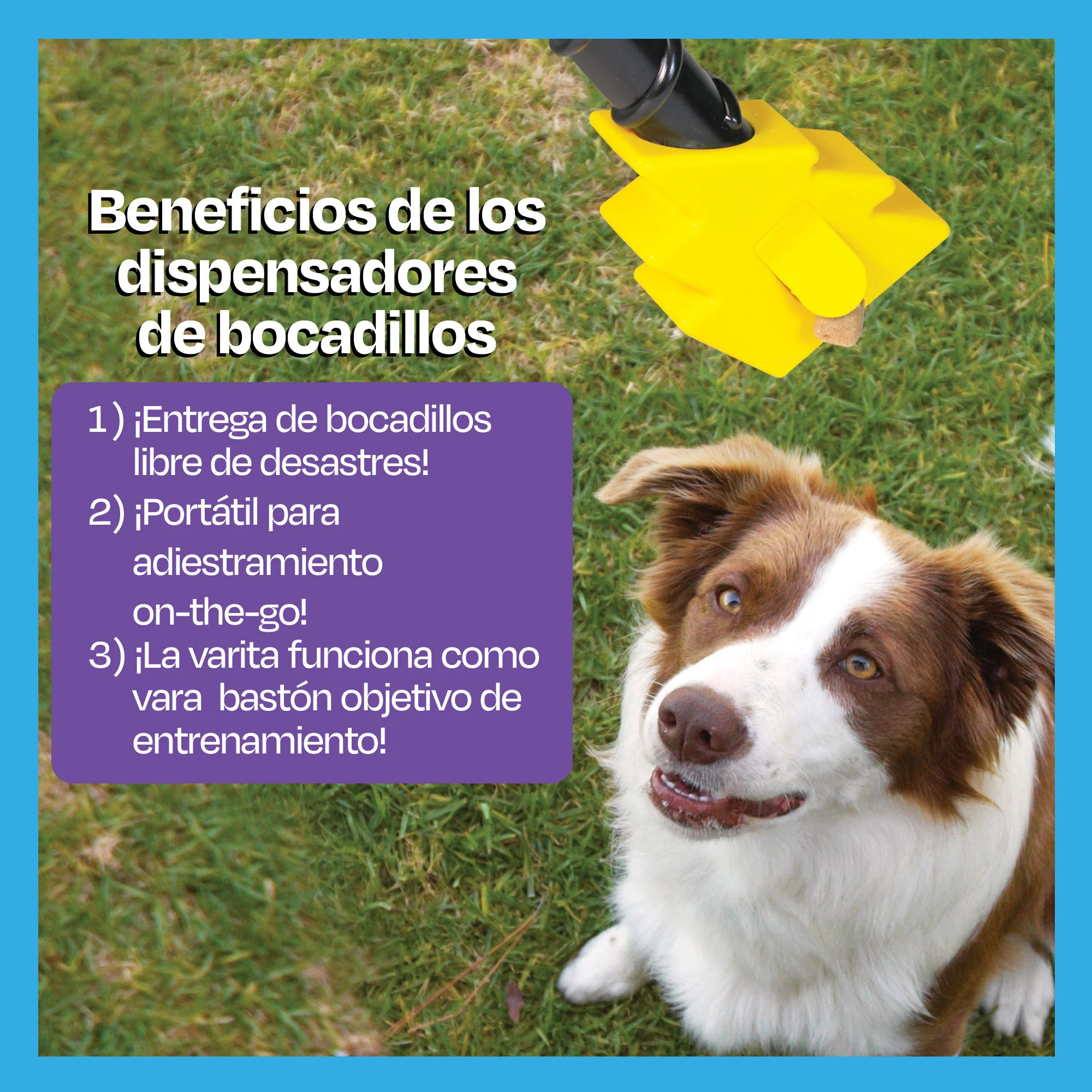 Imagen del producto 17