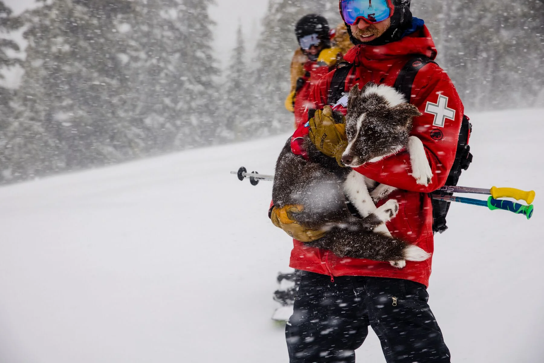 Imagen del producto 83