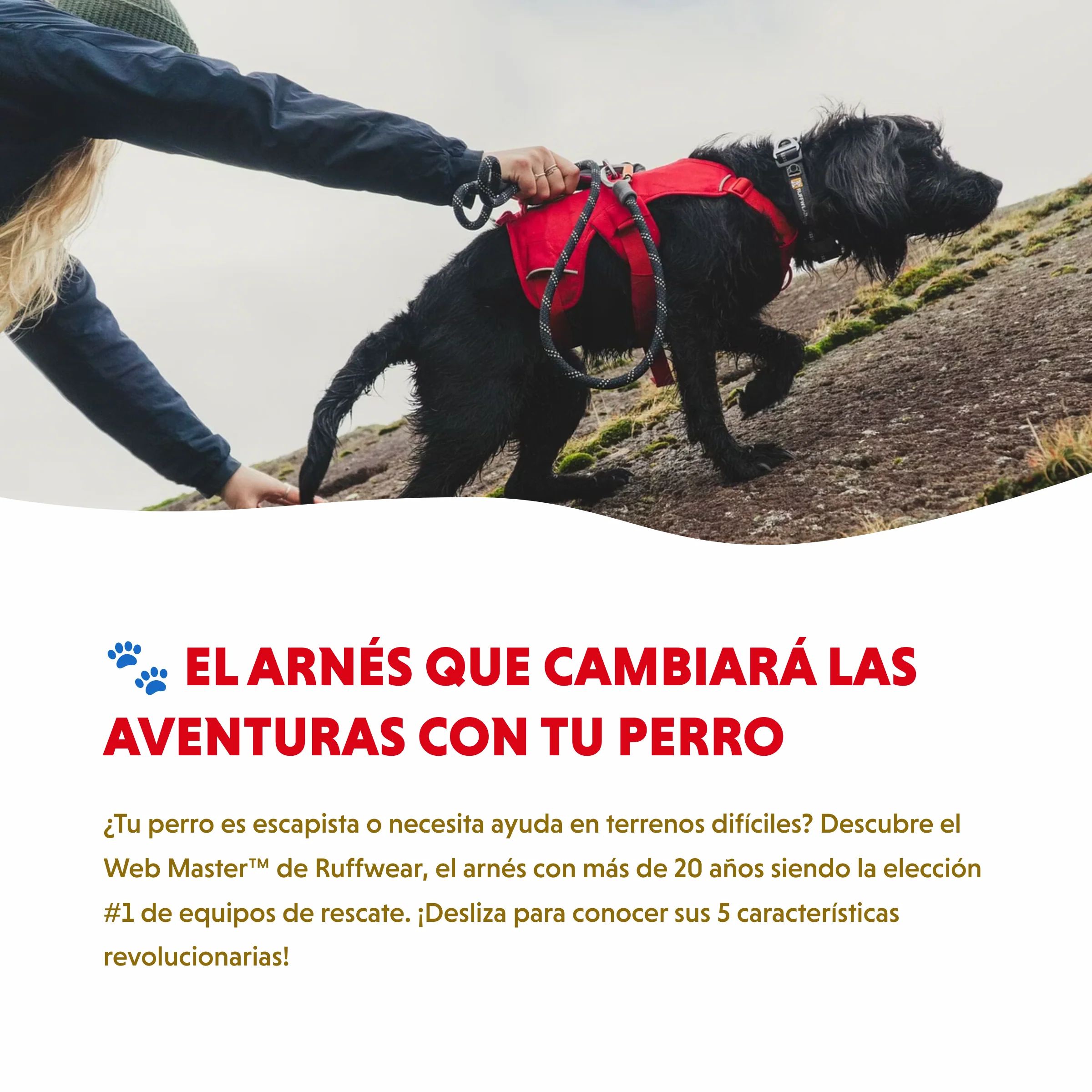 Imagen del producto 2